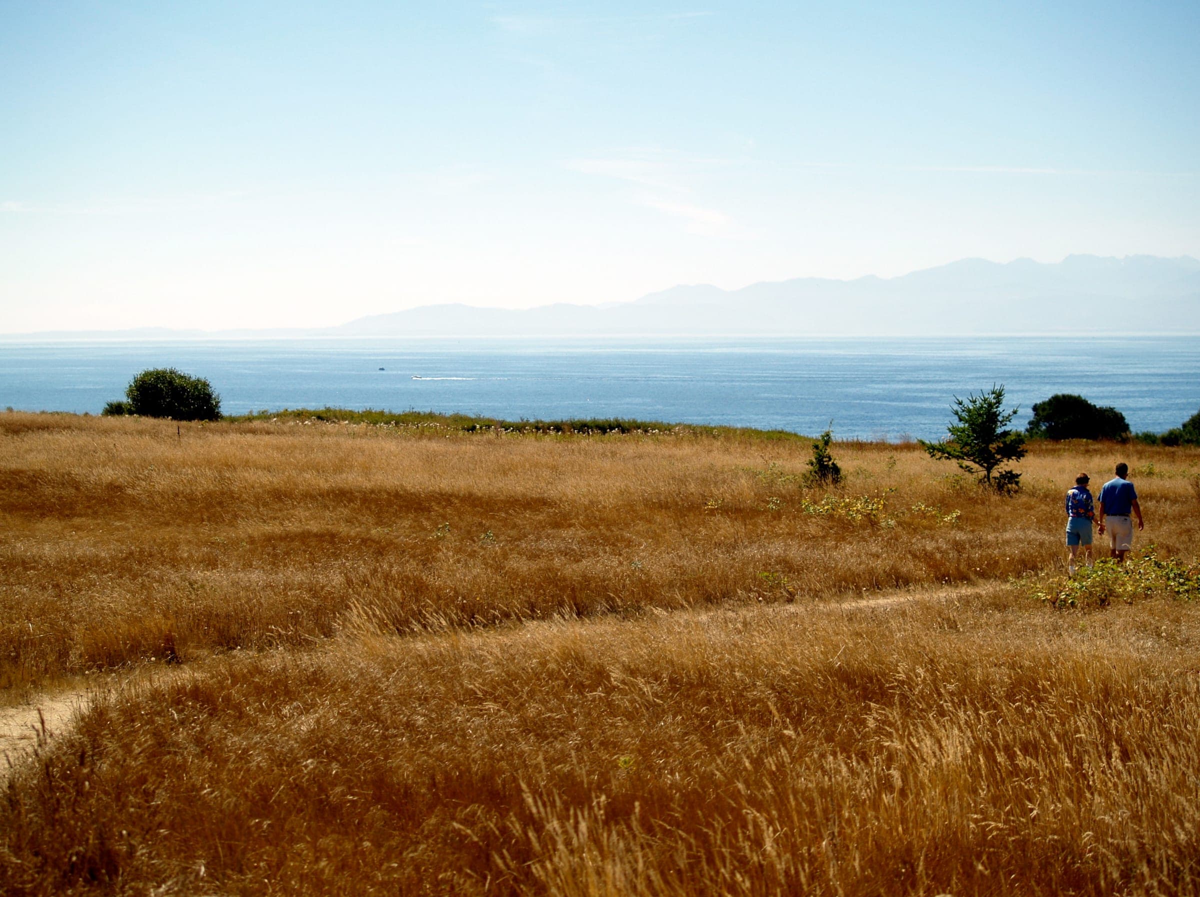 Golden grassland running down to the sea, with two people on a path and mountains beyond.