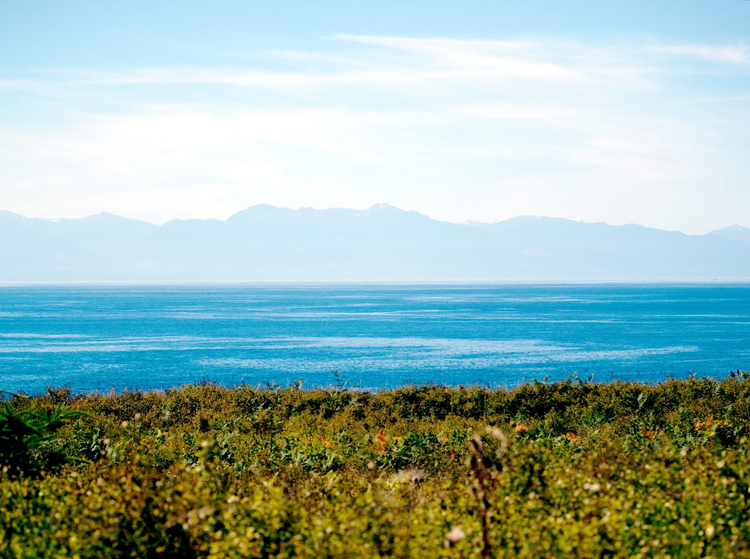 A turquoise sea under pale mountains, seen over green scrub.